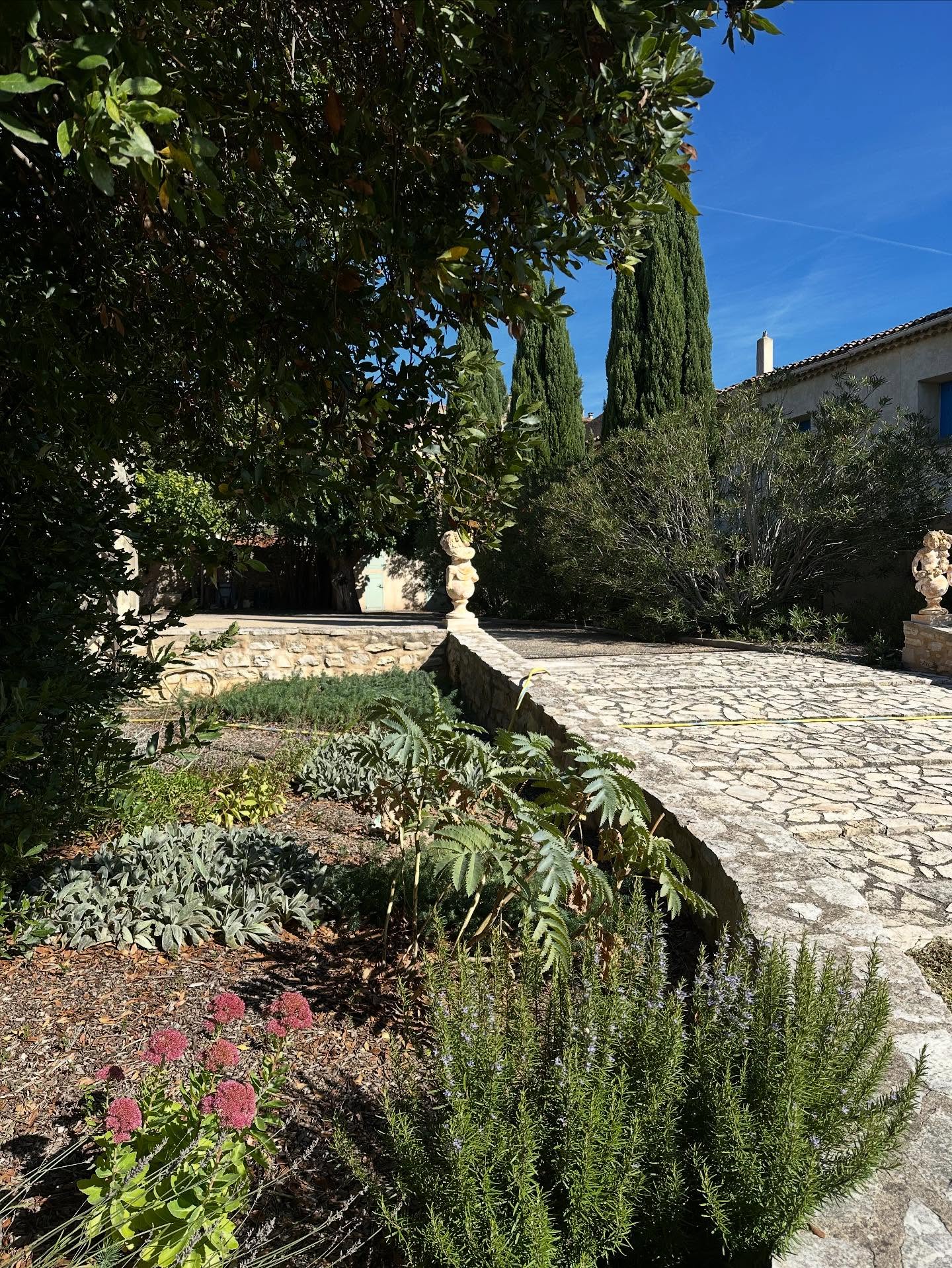 La jardin au fil des saisons !🍇🍏
Au rdv, pommes, tomates, 🍅 grenades, olives !
#automne#automnvibes🍂🍁#suddelafrance☀️😍#b&b#corbieresminervoistourisme#garden#jardin#