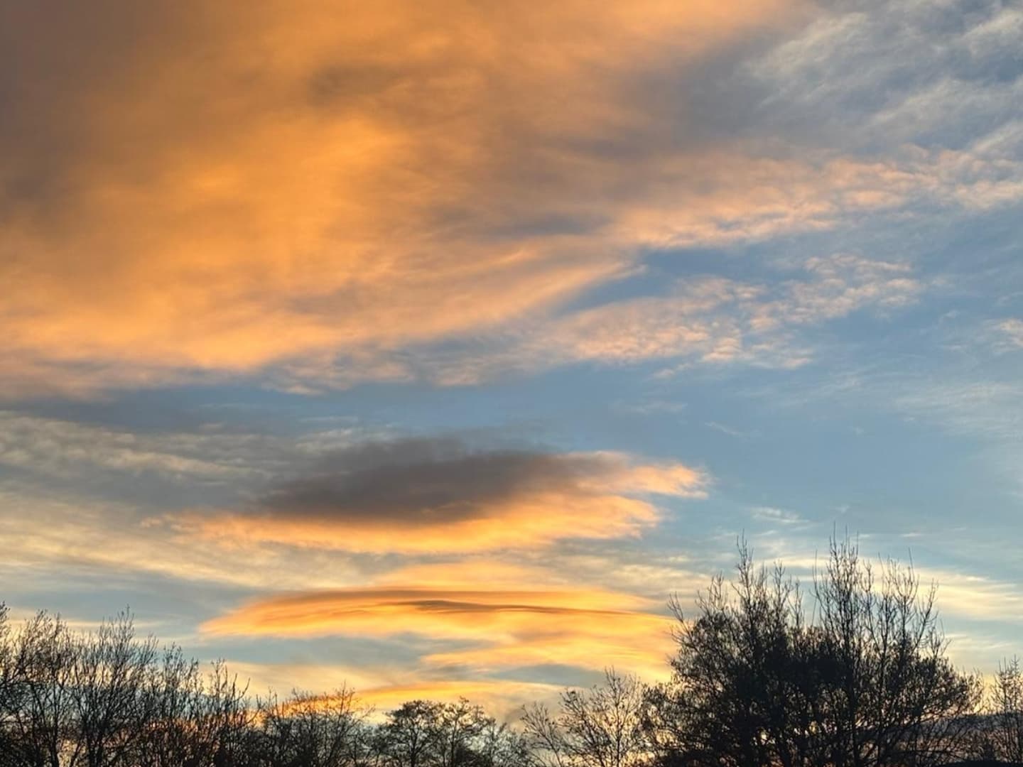 La luz de enero este año se apagó. Los días más especiales del año nos los perdimos. Igual que la primera alineación planetaria, la crecida del río, la nieve o la llegada de las cigüeñas.
Al parecer, hasta ahora, nunca había tenido el corazón roto y no sabía realmente de la pérdida.
Cuando se produce una amputación, a veces el paciente sigue percibiendo sensaciones relacionadas con ese área: ante la ausencia de estímulos, el cerebro se inventa unas nuevas sensaciones que rellenan su mapa. En la ausencia, en realidad, habitan muchas cosas.
Yo creía que se quedaba un agujero. Pero es más bien una espiral en movimiento.
